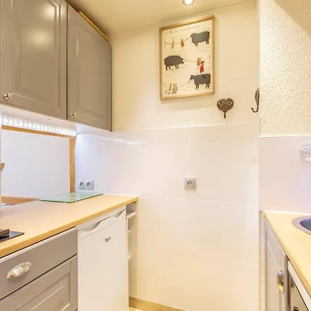 Duplex 5 Pers, Centre Station La Plagne, Animaux Admis - Fr-1-353-107 *
